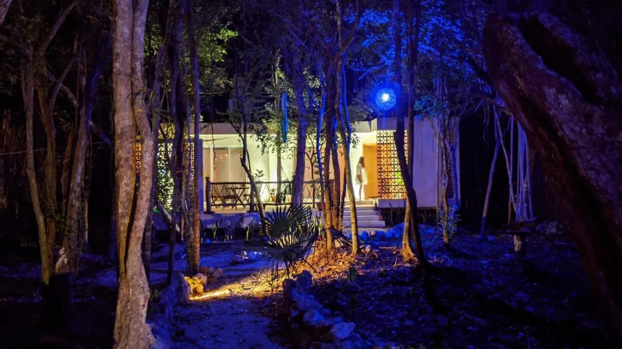 Jungle Loft Casa Colibri Apartment Akumal 0*,  Mexico