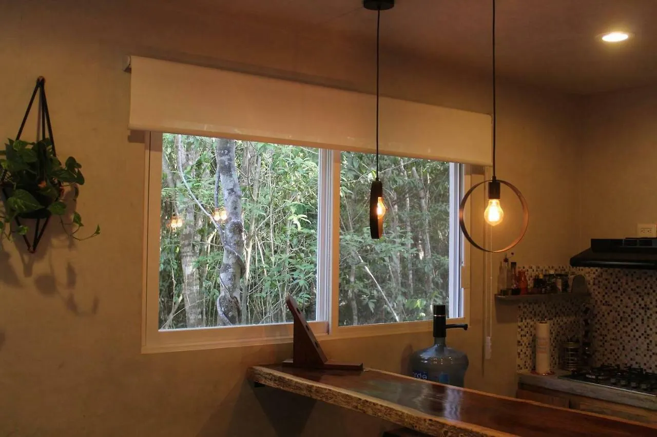 Jungle Loft Casa Colibri Apartment Akumal