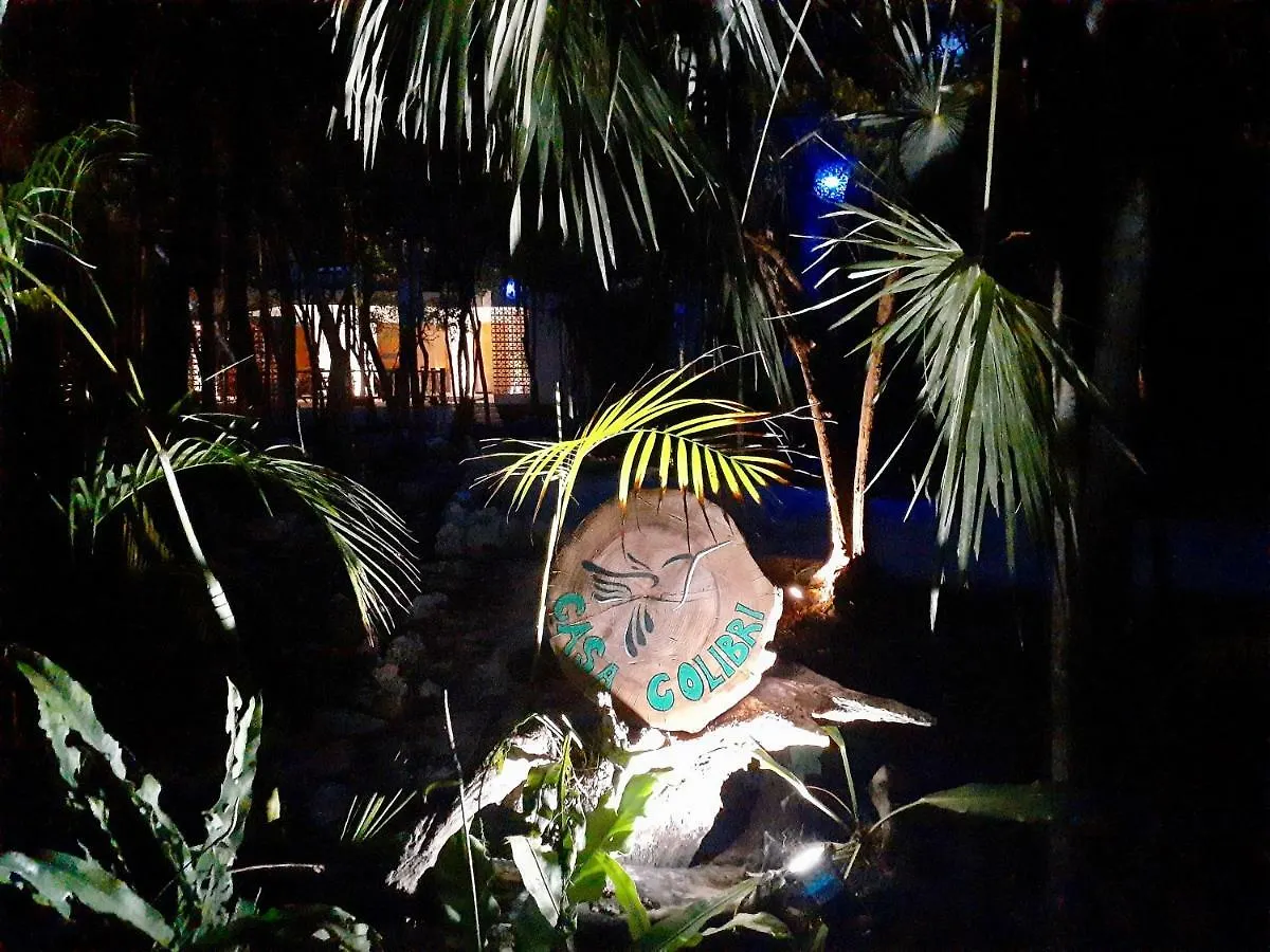 Jungle Loft Casa Colibri Apartment Akumal Mexico